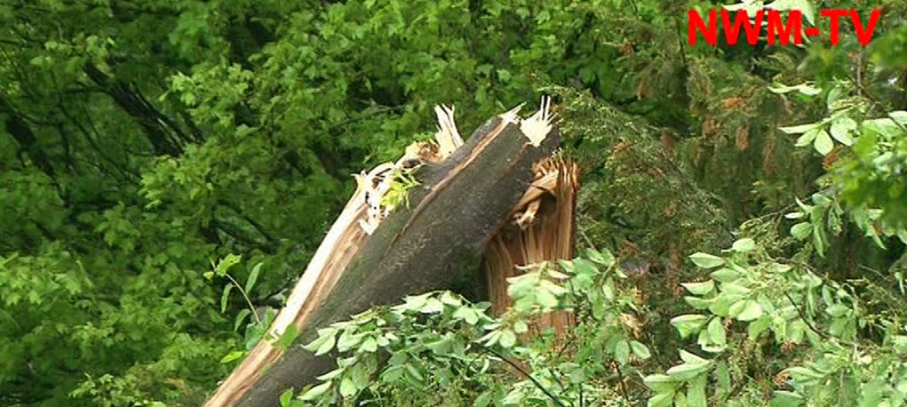 Stiegte durch Baum versperrt